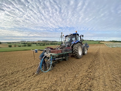 farmer and tractor for planting grape cuttings in plowed field